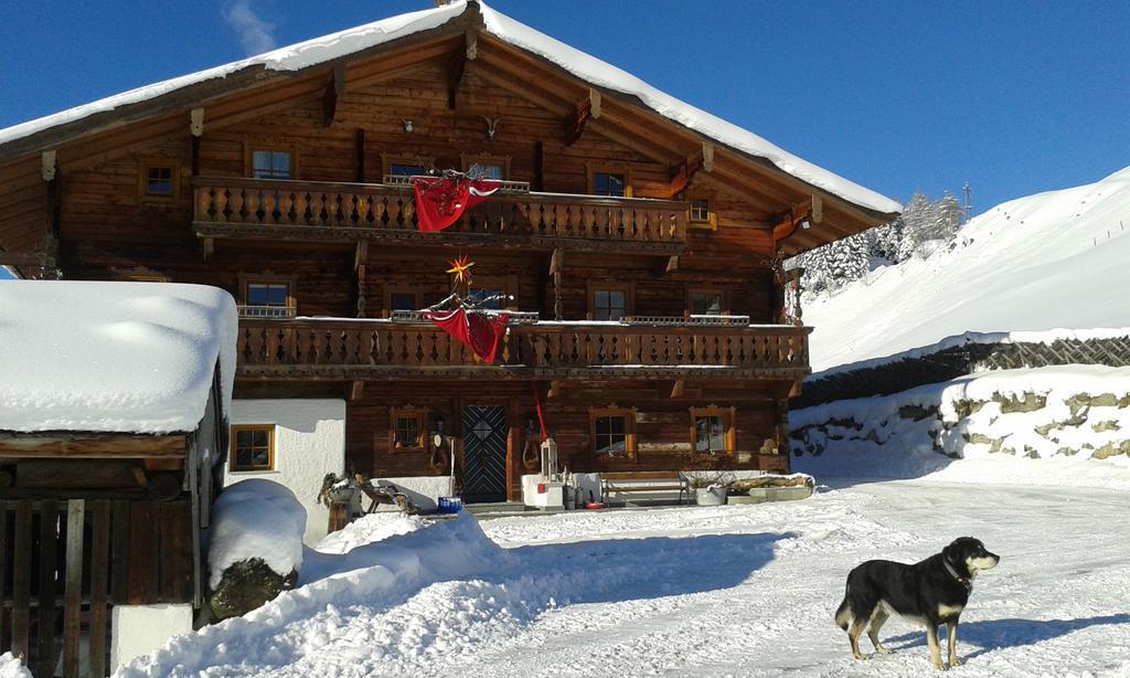 ミッタージルGastehaus Biobauernhof Brennsteinhofアパートメント 部屋 写真